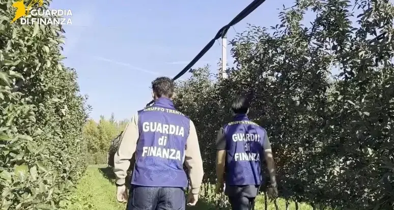 Braccianti sfruttati nei piccoli frutti, Coldiretti: «Fatti criminali, tolleranza zero»