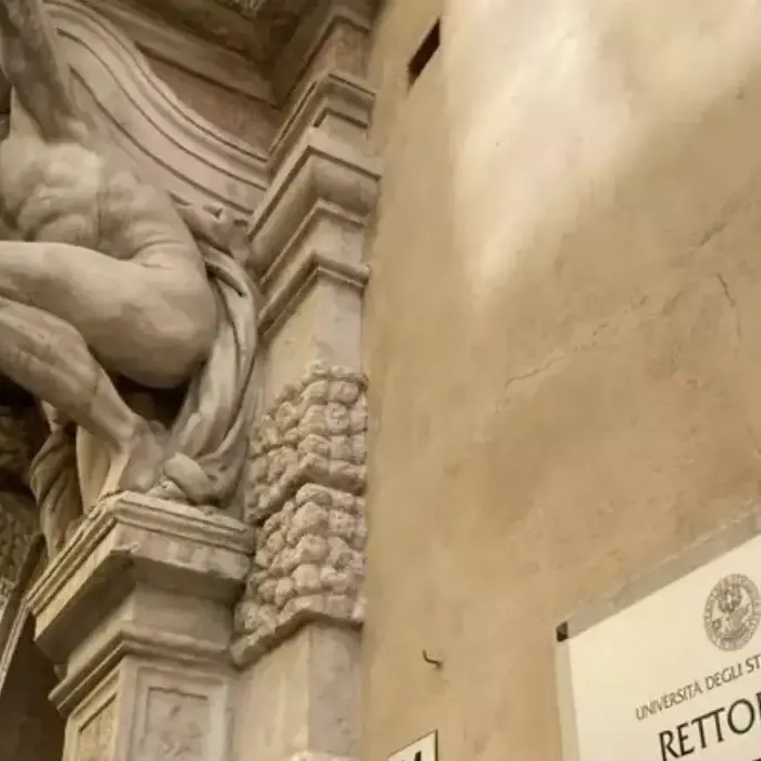 Università di Trento, al via la corsa al nuovo rettore: candidature entro il 3 dicembre