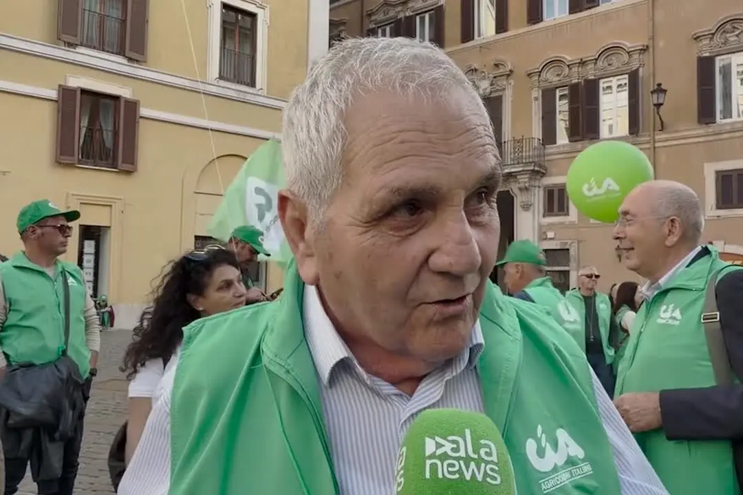 Agricoltore in lacrime: \"In Puglia il settore sta morendo\"