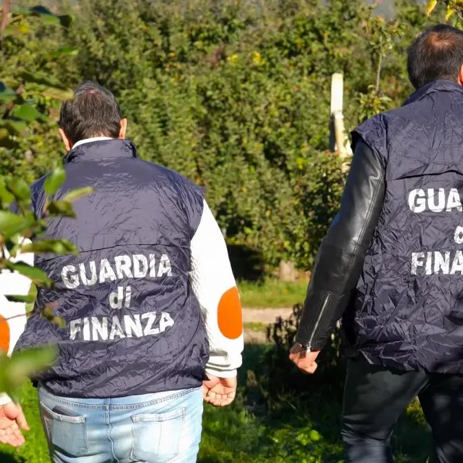 Val di Non, oltre 100 braccianti sfruttati: pagavano fino a 12mila euro per arrivare in Italia