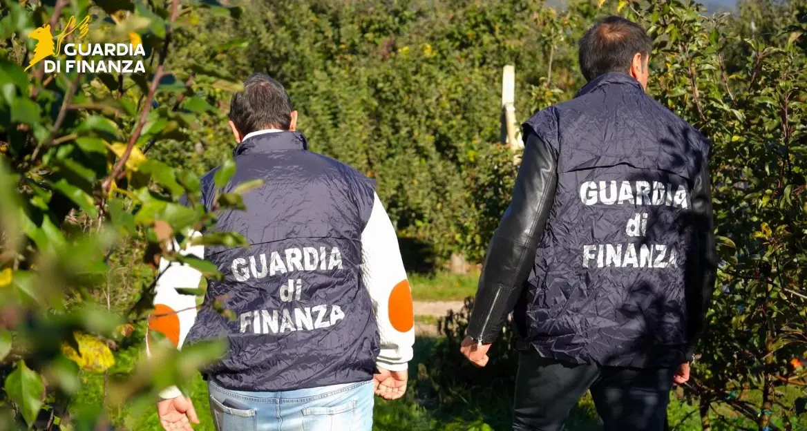 Val di Non, oltre 100 braccianti sfruttati: pagavano fino a 12mila euro per arrivare in Italia