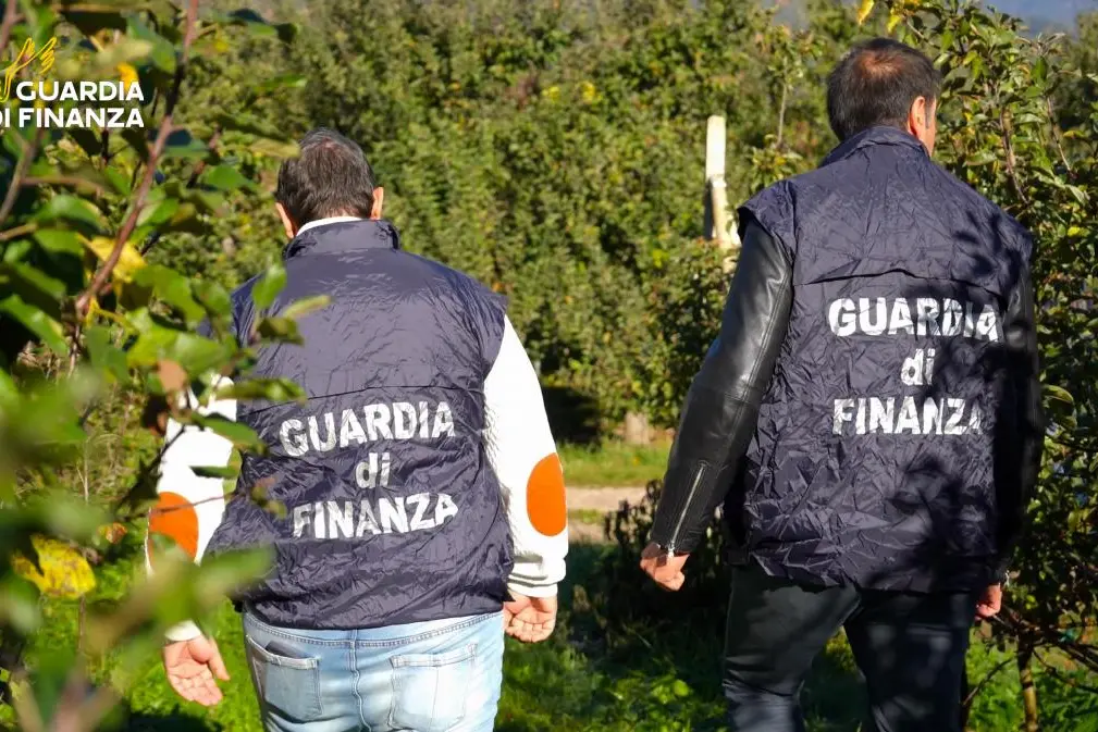 Val di Non, oltre 100 braccianti sfruttati: pagavano fino a 12mila euro per arrivare in Italia