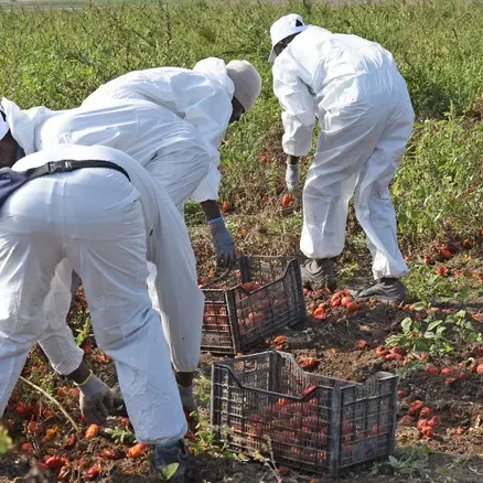 Caporalato in Val di Non, Coldiretti: «Tolleranza zero, difendere le imprese oneste»