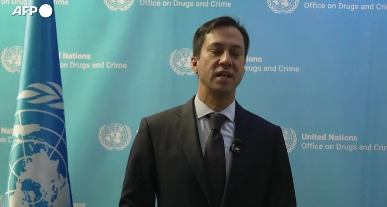 Onu, 'in Afghanistan è quintuplicata la produzione di oppio'