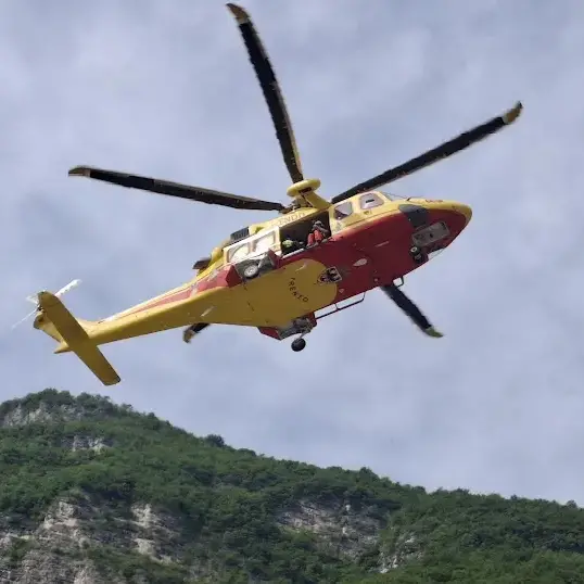Fornace, una pianta colpisce un uomo di 35 anni: soccorso in elicottero