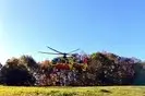 Intervento di soccorso per climber caduto da primo di cordata lungo la via Giulio Regeni