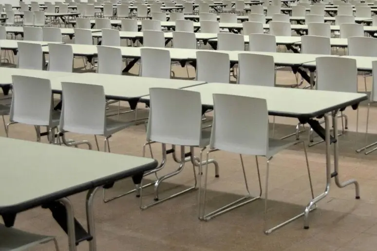 Scuola, concorso straordinario in Trentino: stabilizzazione per 14 classi di insegnamento