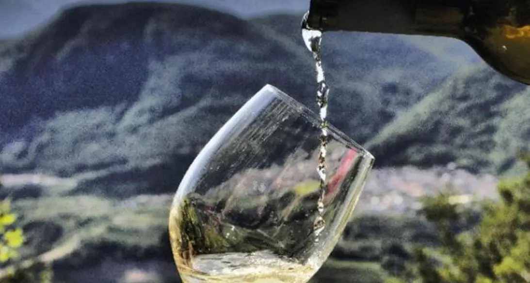 I sapori del Müller Thurgau? Svelati i segreti, è tutto merito dei «tioli varietali»