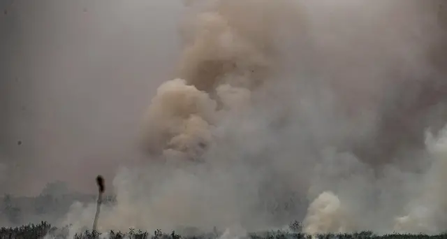 Brasile: giaguari morti per incendio in parco del Mato Grosso
