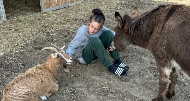 L'Arca di Noemi: a Valle San Felice una fattoria per gli animali \"salvati\", pronta per attività e pet therapy