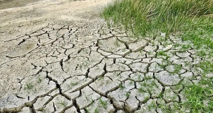 L’allarme di Coldiretti: “In Trentino Alto Adige il 30-40% di raccolto foraggi compromesso per la siccità”