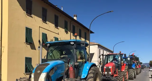 Latte: trattori a Grosseto, 'bruceremo tessere elettorali'
