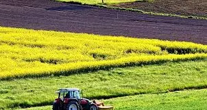 Visione per il futuro dell'agricoltura