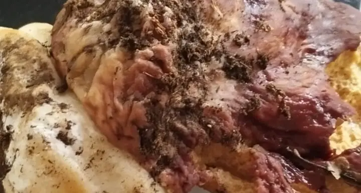 Tanta pioggia, e nei boschi spuntano già i porcini: quasi un chilogrammo di «brisa» a Santa Colomba