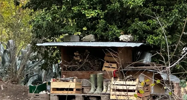 Famiglia nel bosco: perito di parte, i bimbi tornino a casa al più presto