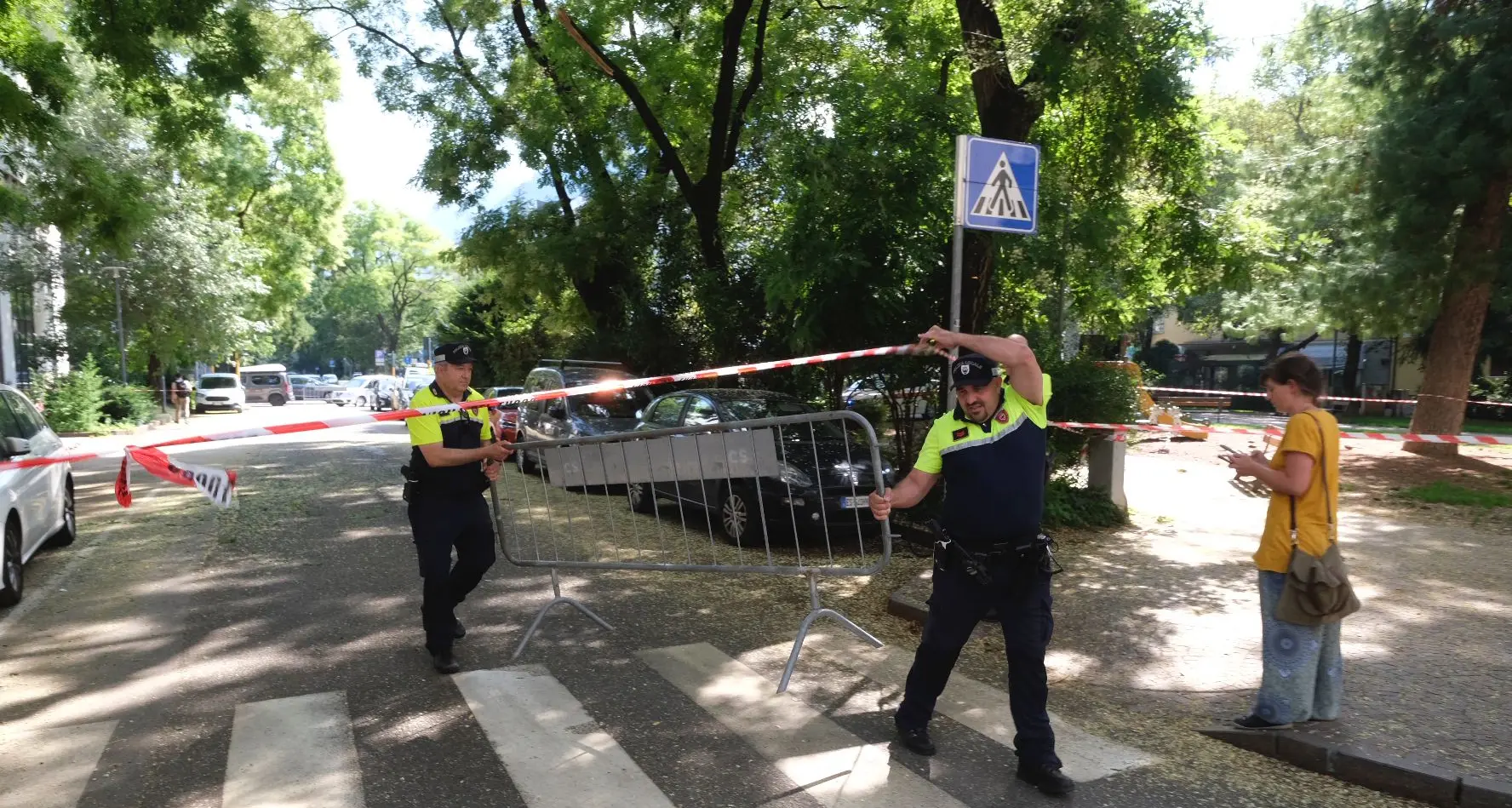 Piazza Cantore, si schianta un ramo d'albero, danneggiate due auto in sosta a due passi dai giardinetti