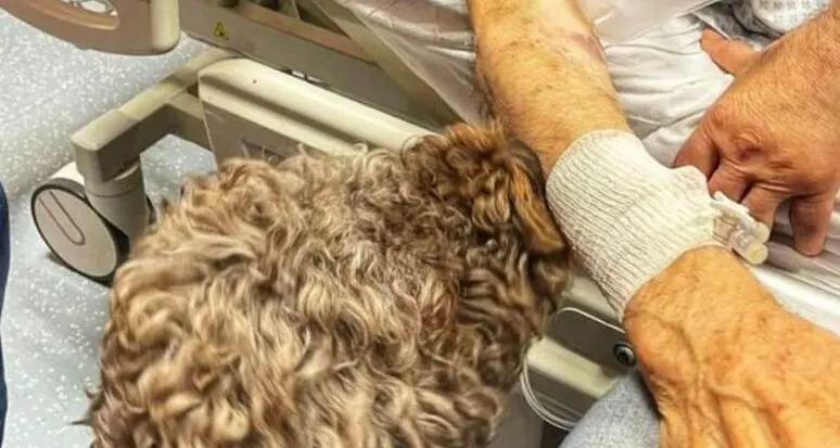 L'ultimo desiderio di Silvano in ospedale: salutare la sua cagnolina