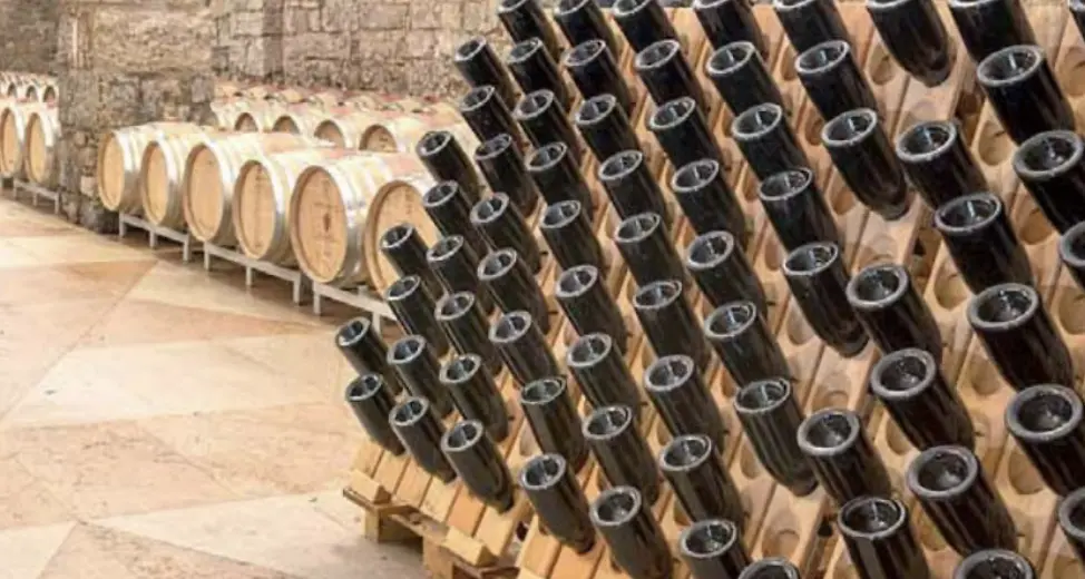 Aromi del vino, le nuove scoperte: nel Trentodoc c’è l’effetto “kokumi”. Ecco di cosa si tratta