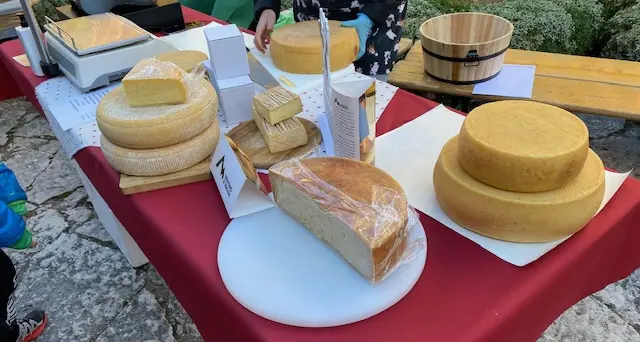 I migliori formaggi della Valsugana sono fantastici: ecco le malghe e i casari premiati