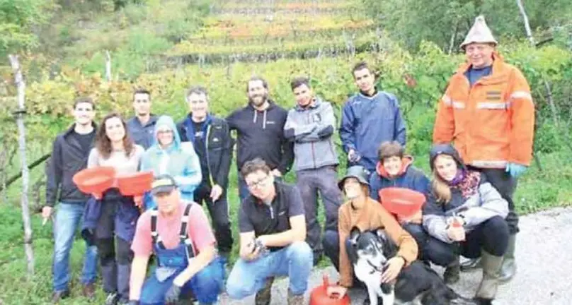 La vigna del Bepi, quel vino antico di Trambileno salvato dai giovani di Leno Klandestino