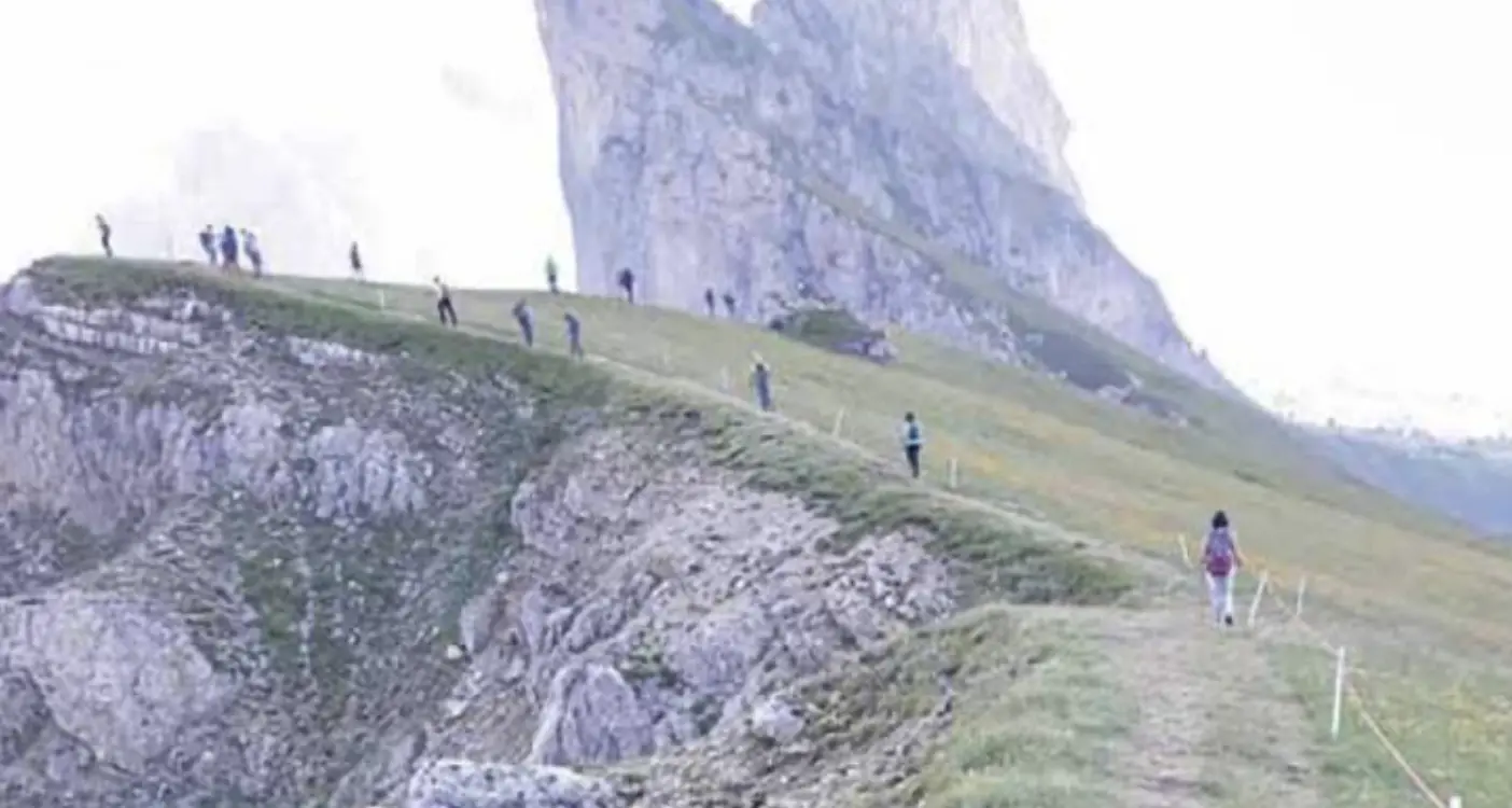 I proprietari dei pascoli del Seceda spiegano le ragioni dei tornelli: mucche più “educate” dei turisti