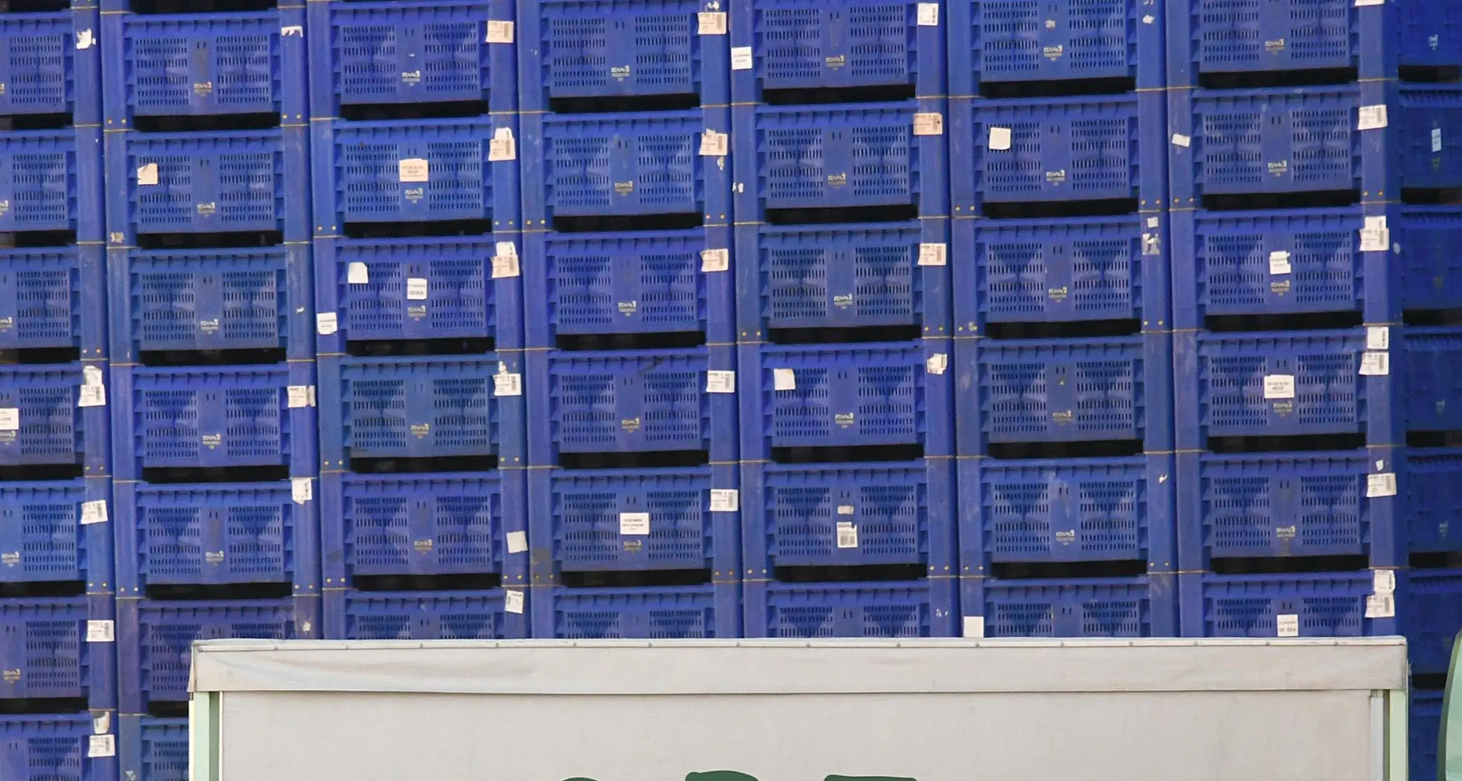 Frutticoltura: SFT verso La Trentina per evitare il fallimento, e la Provincia paga la consulenza