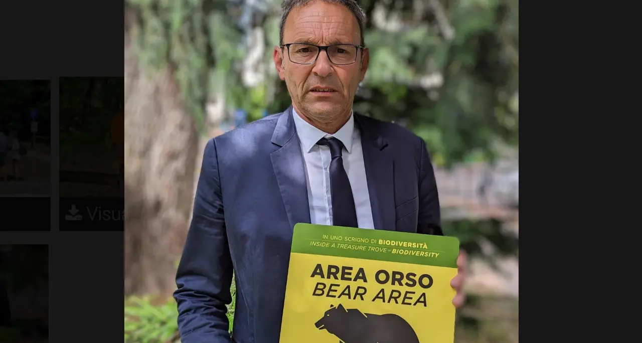Paganella, nessun \"caso orso\", la Provincia contro le fake news
