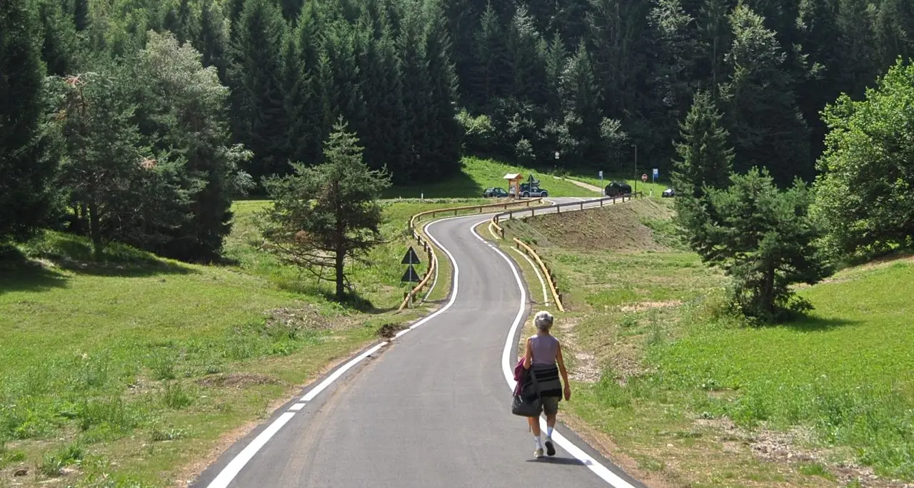 Cavedago, nuovo camping a 5 stelle, ma interamente recintato con palizzata anti-orso