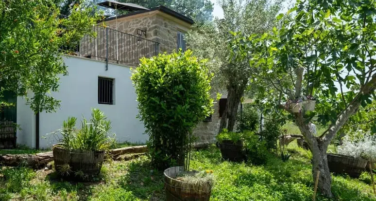 La famiglia nel bosco accetta la casa offerta da un imprenditore