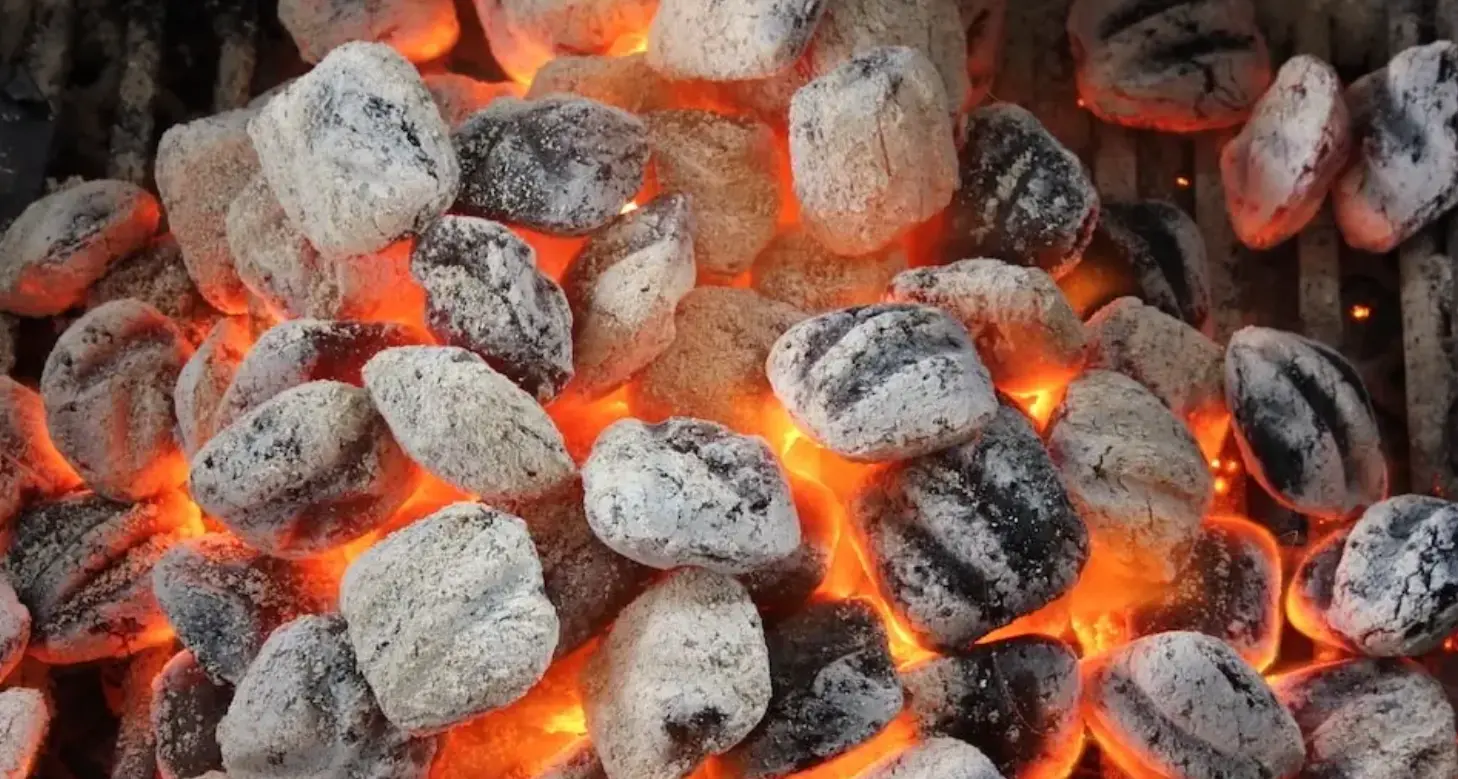 I brichetti per barbecue erano tossici, vasto sequestro dei Nas, indagine partita da Trento