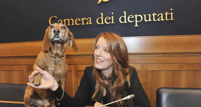 Orsi del Trentino, Brambilla teme una \"strage\" e prepara i ricorsi sugli abbattimenti