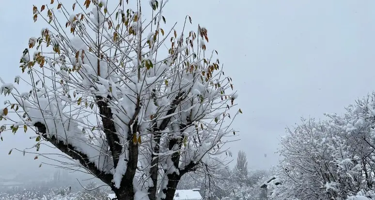 Torna a nevicare in Trentino, ma solo oltre i 1000 metri: le previsioni
