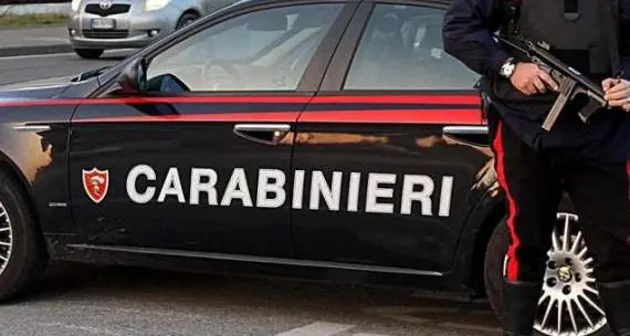 Tragedia sfiorata in Primiero: un palo della luce, abbattuto da un’auto, finisce addosso a 2 bimbi