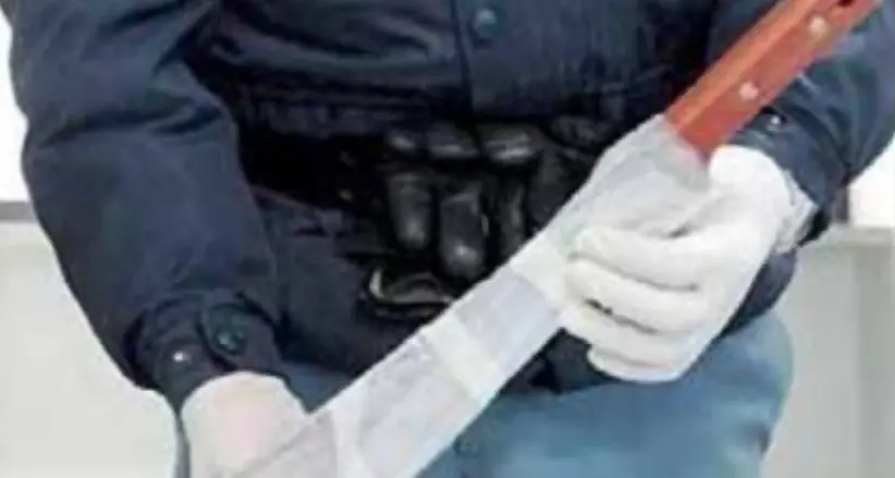 In auto con la mannaia, per l’imputato era “solo” un coltello da carne: ricorso respinto