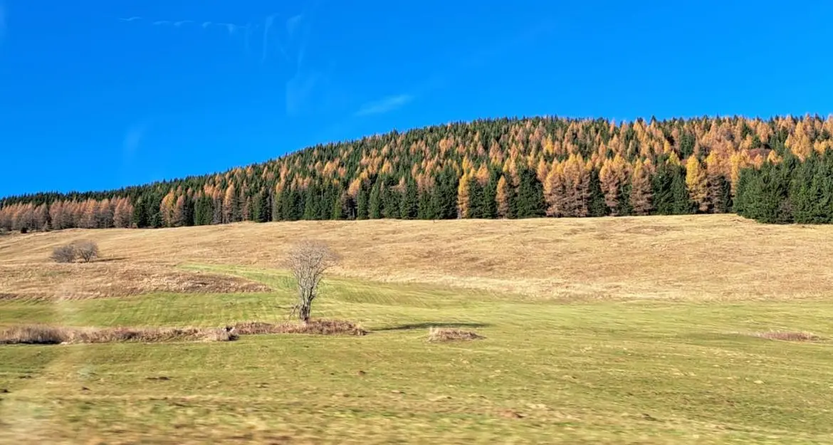 Clima: in Trentino novembre è stato caldissimo e secco, ma dicembre non sembra diverso