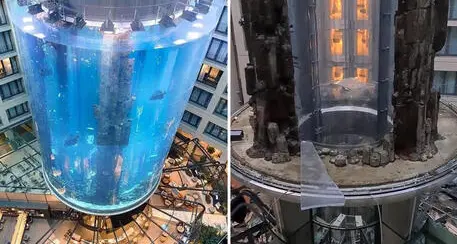Berlino, esplode un enorme acquario con 1500 pesci tropicali