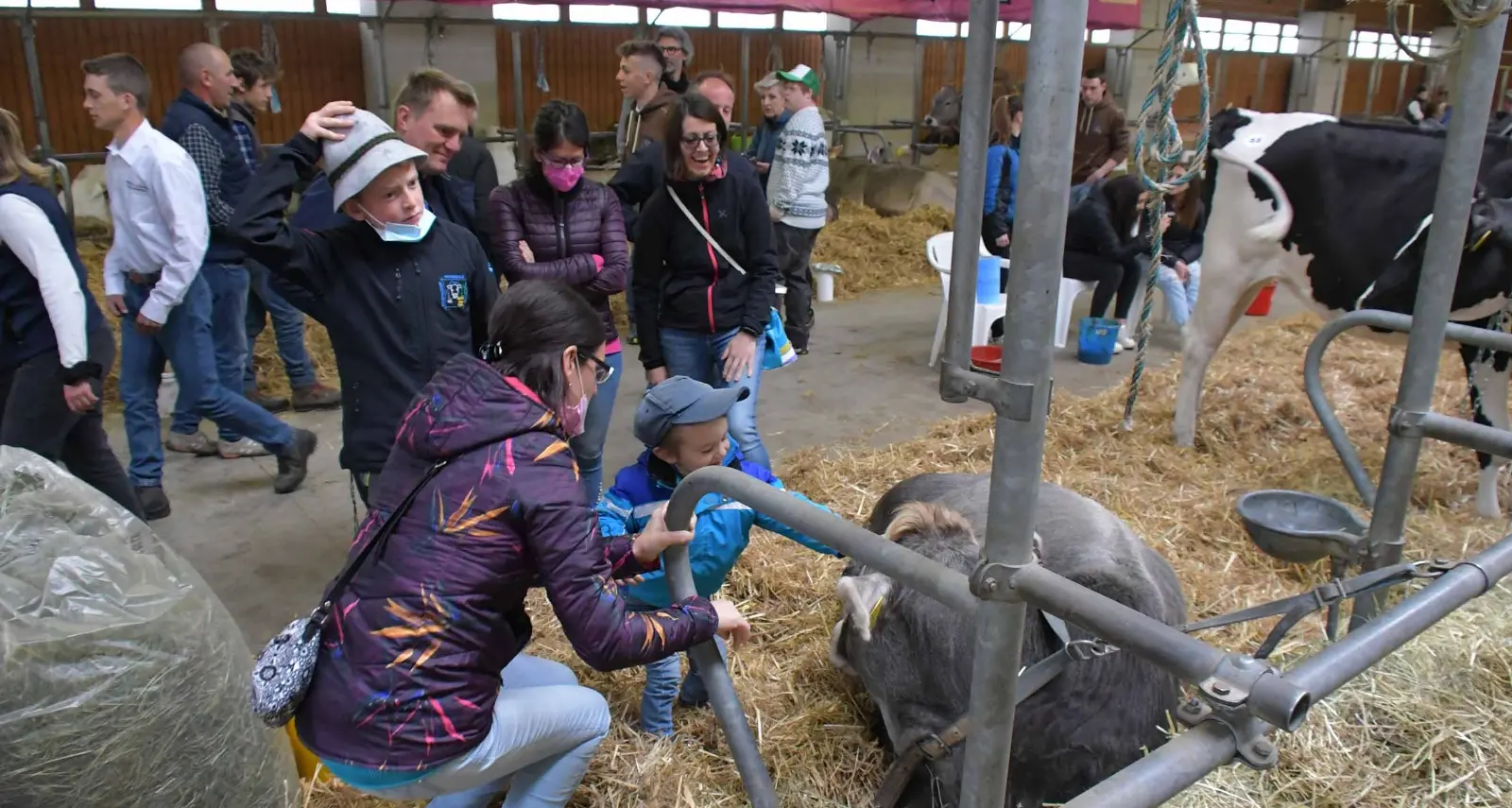 La pioggia non rovina la “Festa di primavera”: tanta gente in città per capire tutto del mondo zootecnico trentina