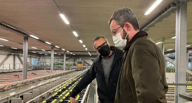 Lasciare Apot per andare con i sudtirolesi? Sft rilancia e accusa: \"da Melinda metodi intimidatori\"