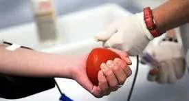 Avis del Trentino, sempre più donatori di sangue e di plasma