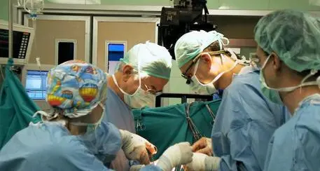 In Trentino lo scorso anno 36 trapianti di organi. Segnana: “Li promuoviamo, nonostante il Covid”