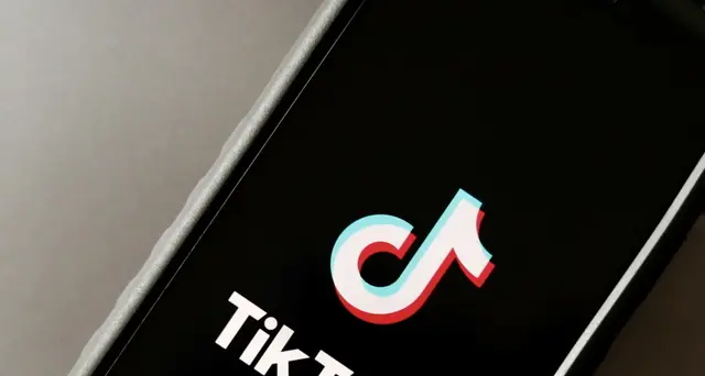 Svezia: l'esercito vieta TikTok sui dispositivi dei militari
