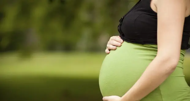 Nullo il licenziamento in gravidanza: la società deve reintegrare la lavoratrice versandole un’indennità