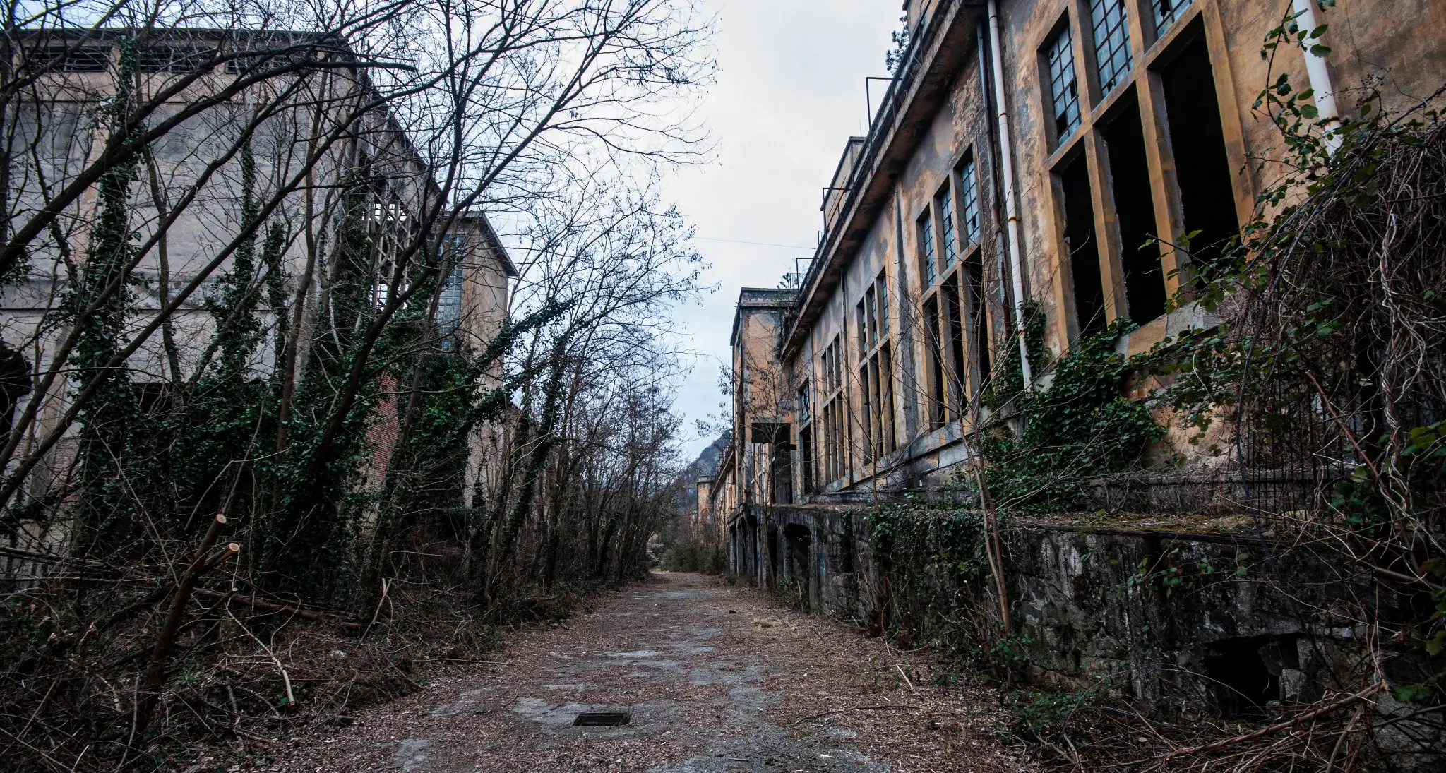 Ex Alumetal, quella fabbrica di Mori abbandonata da 40 anni, ecco cosa c'è dentro (anche una favolosa vera galleria d’arte di strada)