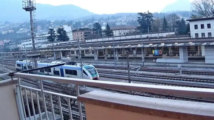 Uff. st. M5S