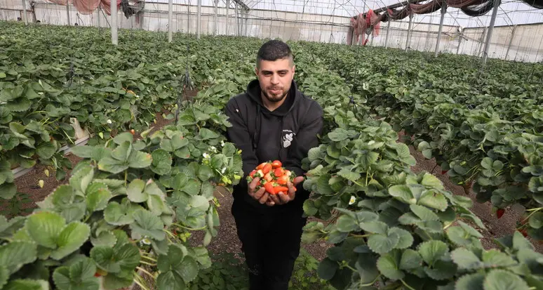 Boom di giovani agricoltori: +18% nel 2025, cresce la rivoluzione digitale nei campi