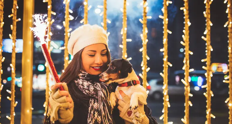 Botti di Capodanno, parte la campagna degli animalisti: \"Usa la testa, non rovinare la festa\"