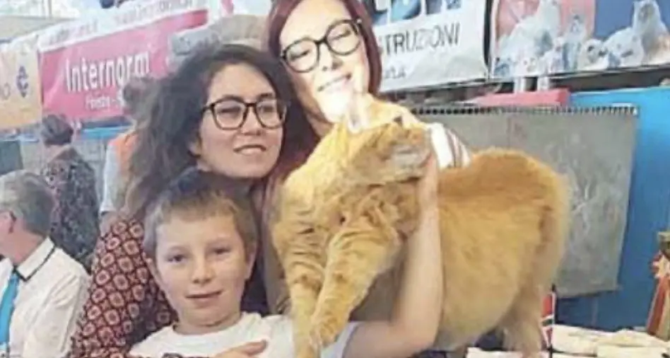 Show di grande successo per i gatti di razza: 200 i felini arrivati a Roncegno da mezza Italia e dalla Germania