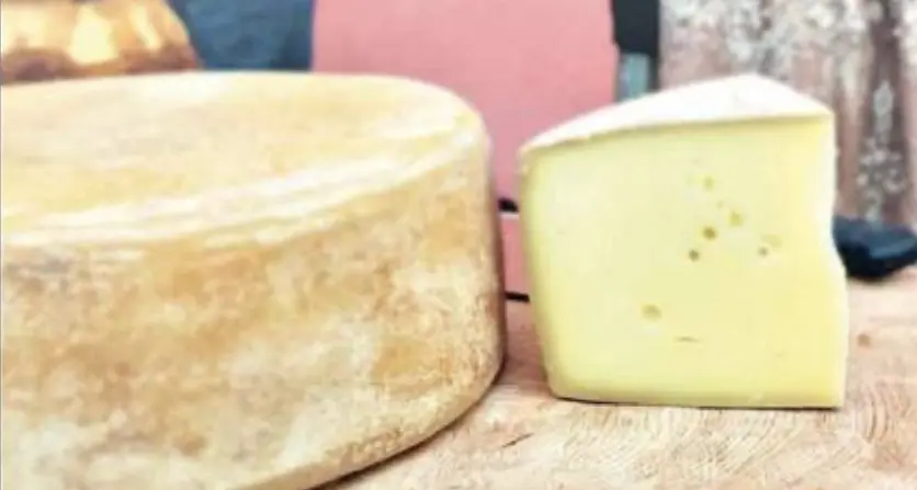 Troppi costi, caseifici a rischio chiusura: a spiazzare i produttori sono i continui rincari delle bollette