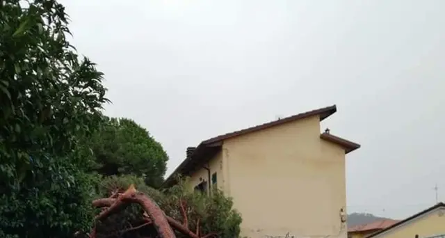 Giani: 'Stato emergenza appena quantificati danni maltempo'