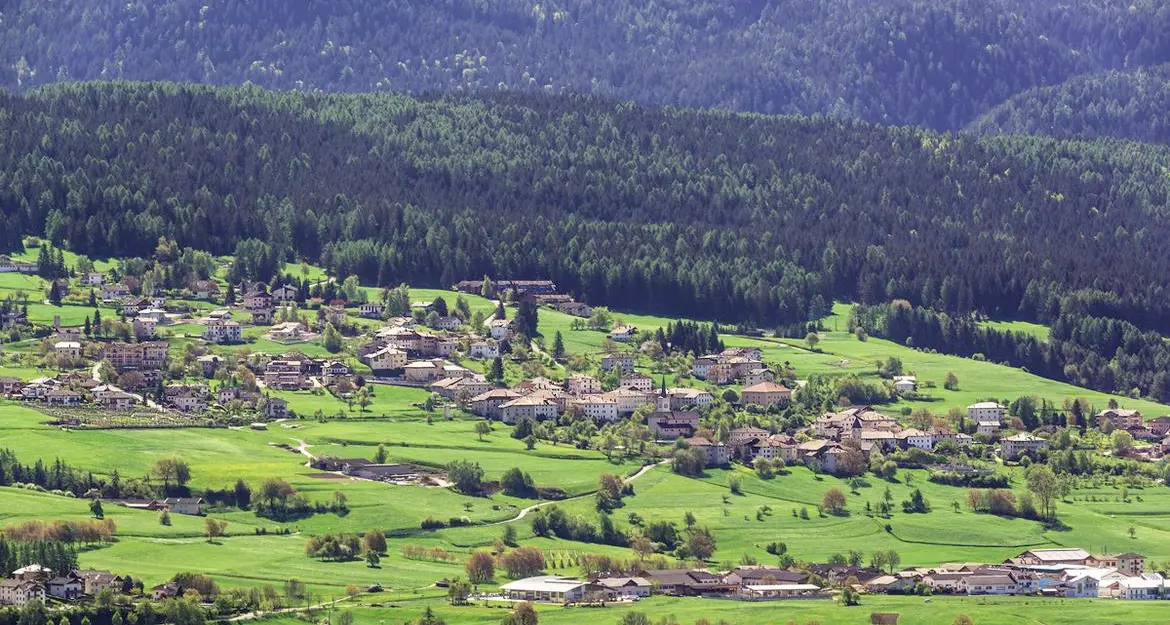 Ronzone, che tegola dal Consiglio di Stato: 182 mila euro di Ici da pagare per i terreni «inedificabili» diventati «non edificati»